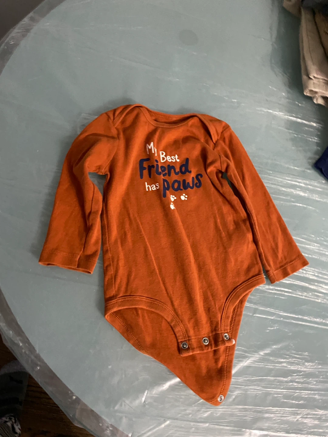 Carter's Baby Bodysuit "My Best Friend Has Paws" - 18m