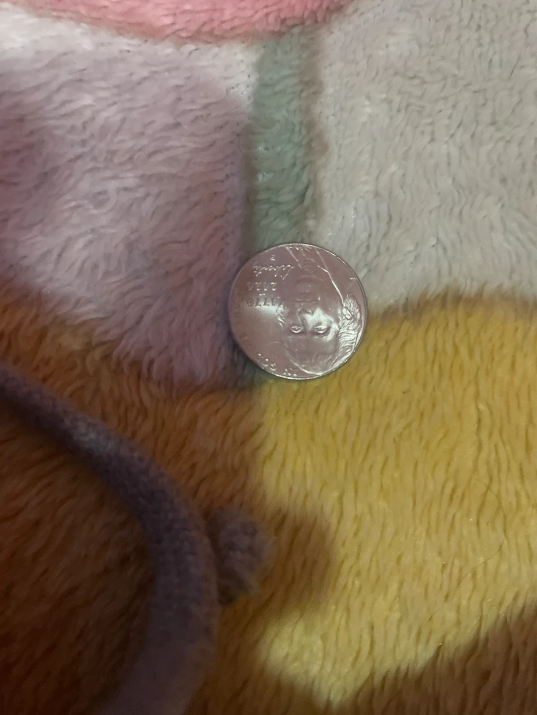 United States Quarter Coin