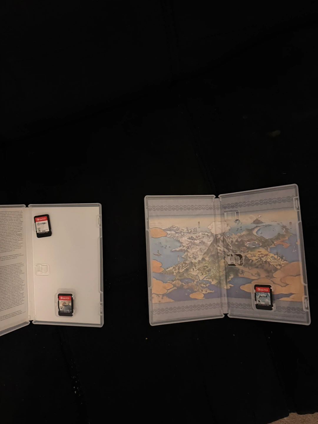 Nintendo Switch Game Cases with Inserts