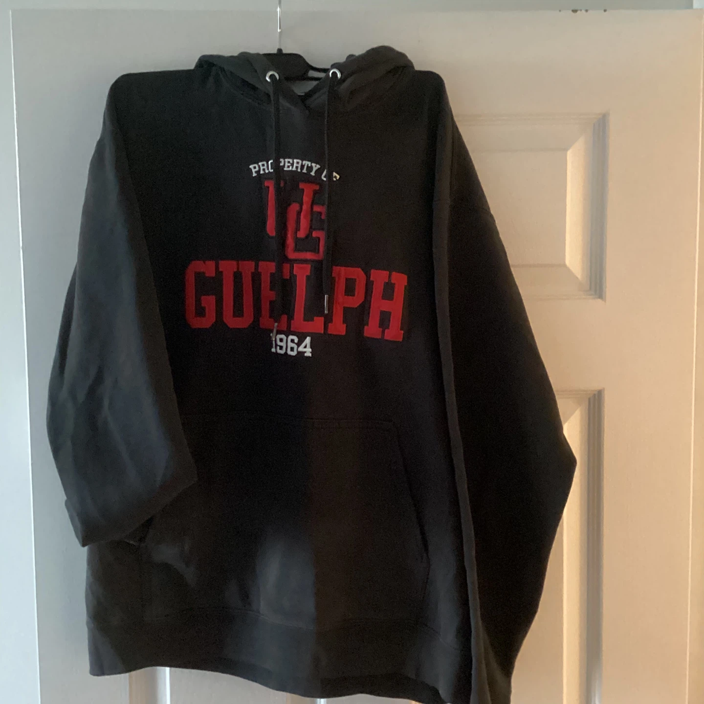 University of Guelph Hoodie size med