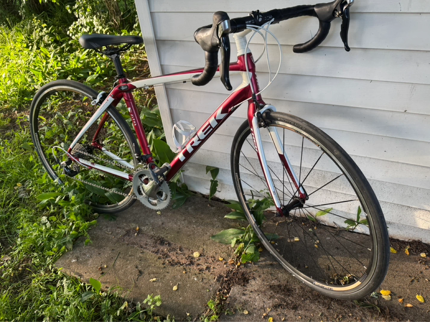 Trek Lexa SLX Women's Road Bike