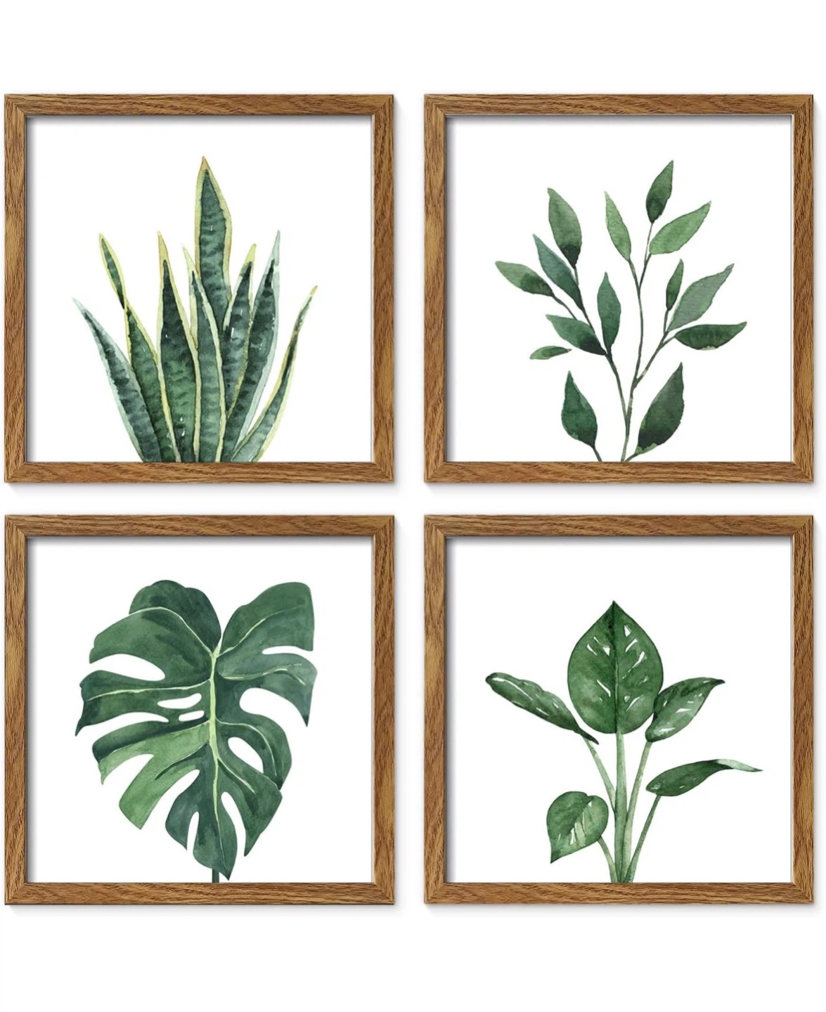 Arthy & Hannah Botanical Framed Art Prints - Set of 4
