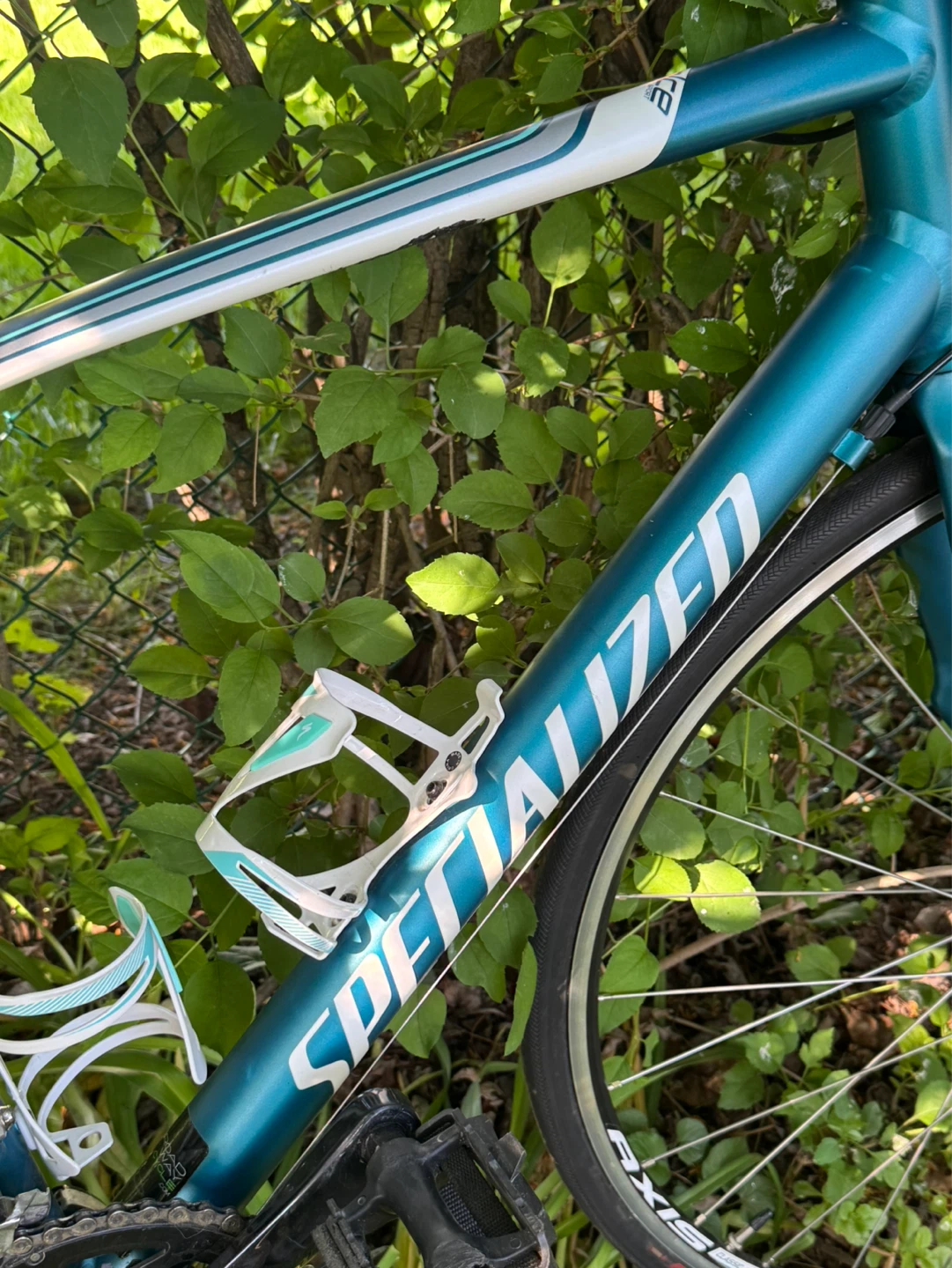 Specialized Women's Road Bike - photo 4