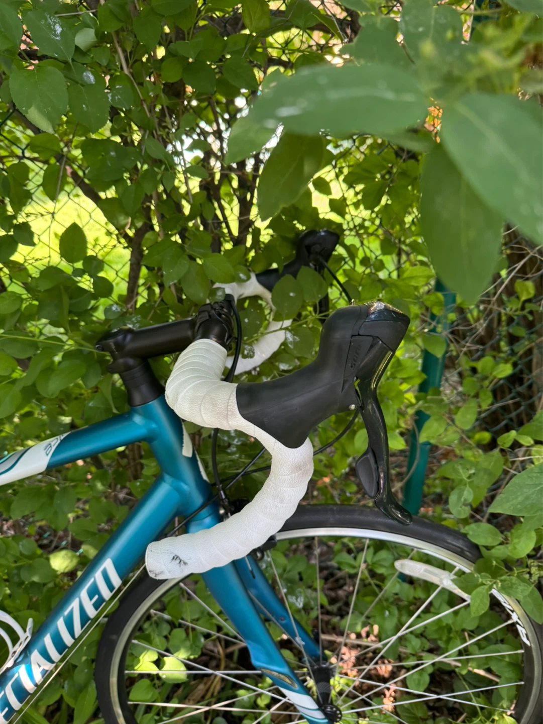 Specialized Women's Road Bike - photo 5