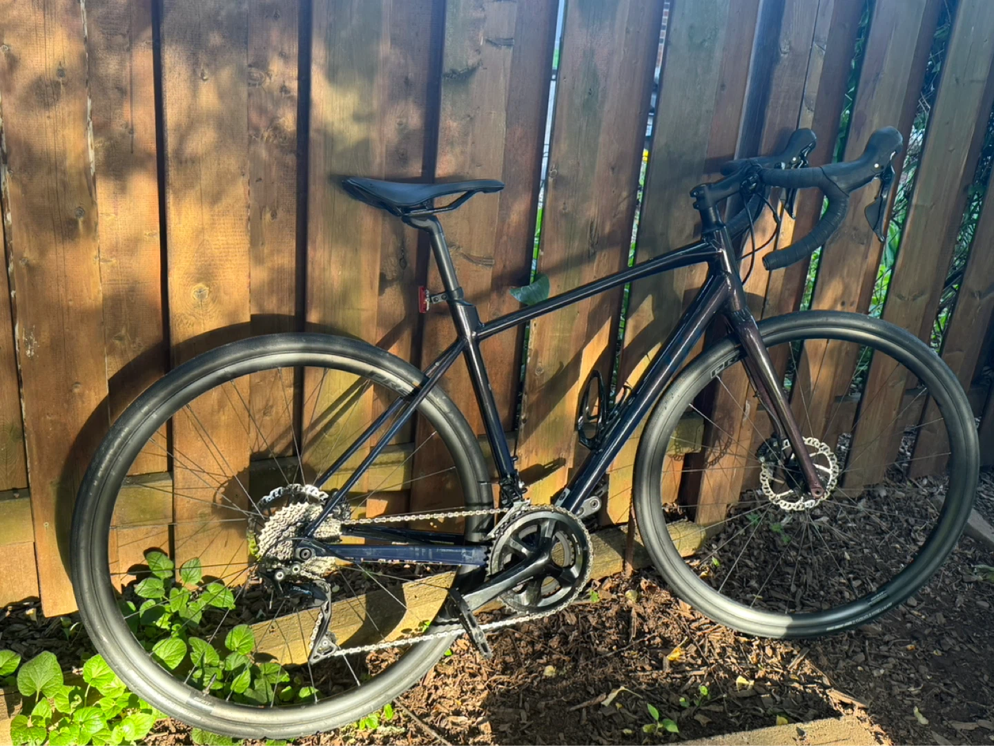 Giant Avail AR 1 Women's Road Bike - Medium