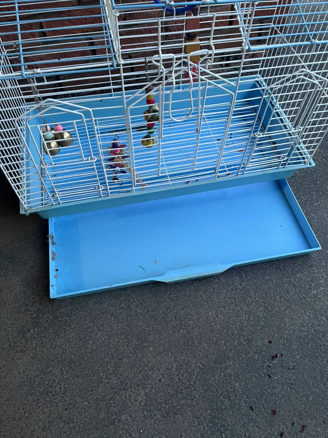Blue Bird Cage with Accessories - photo 3
