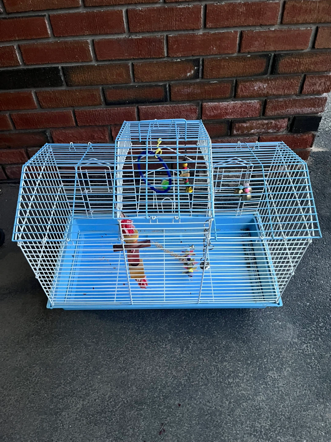 Blue Bird Cage with Accessories
