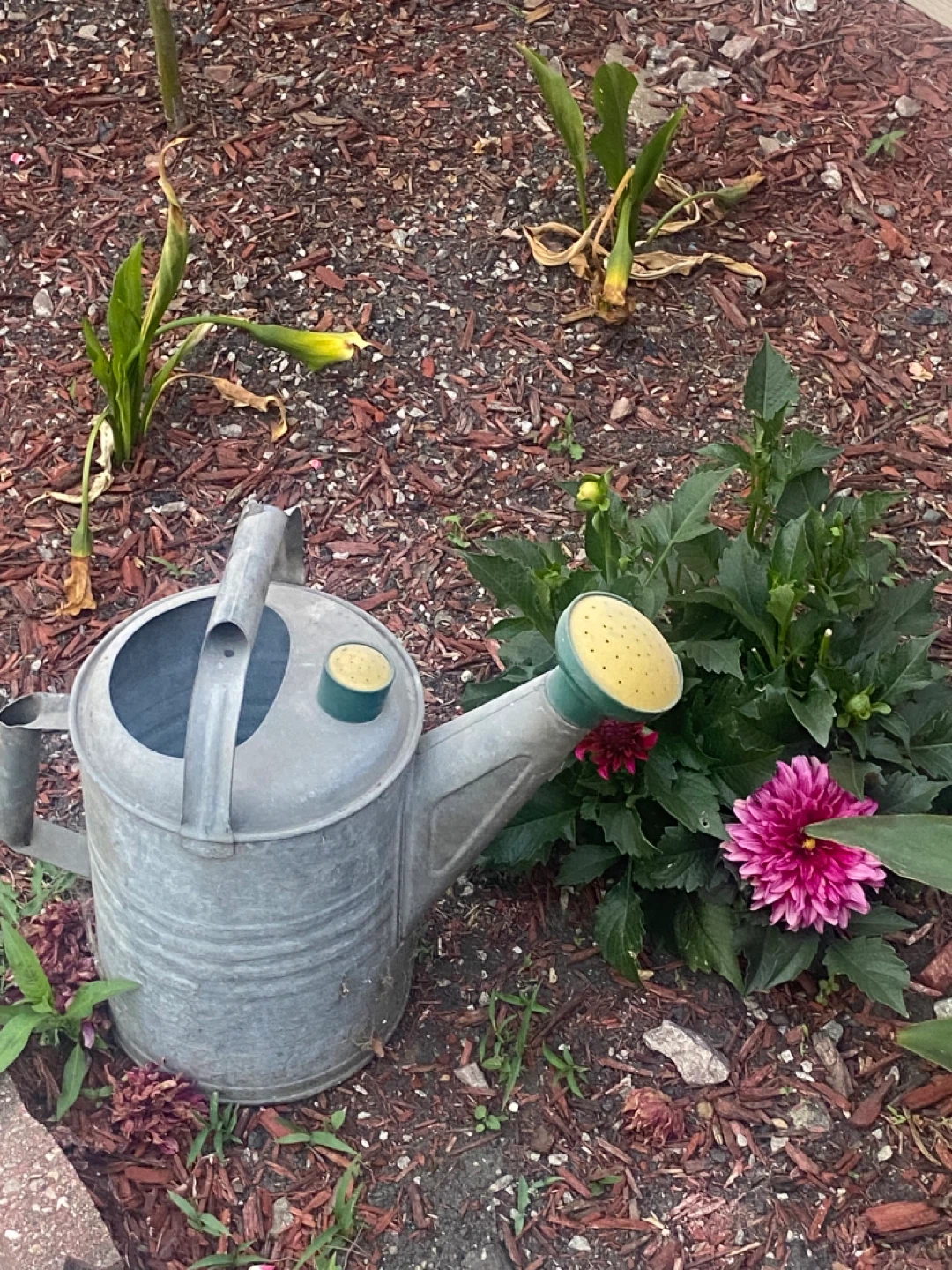 Galvanized Metal Watering Can - photo 2