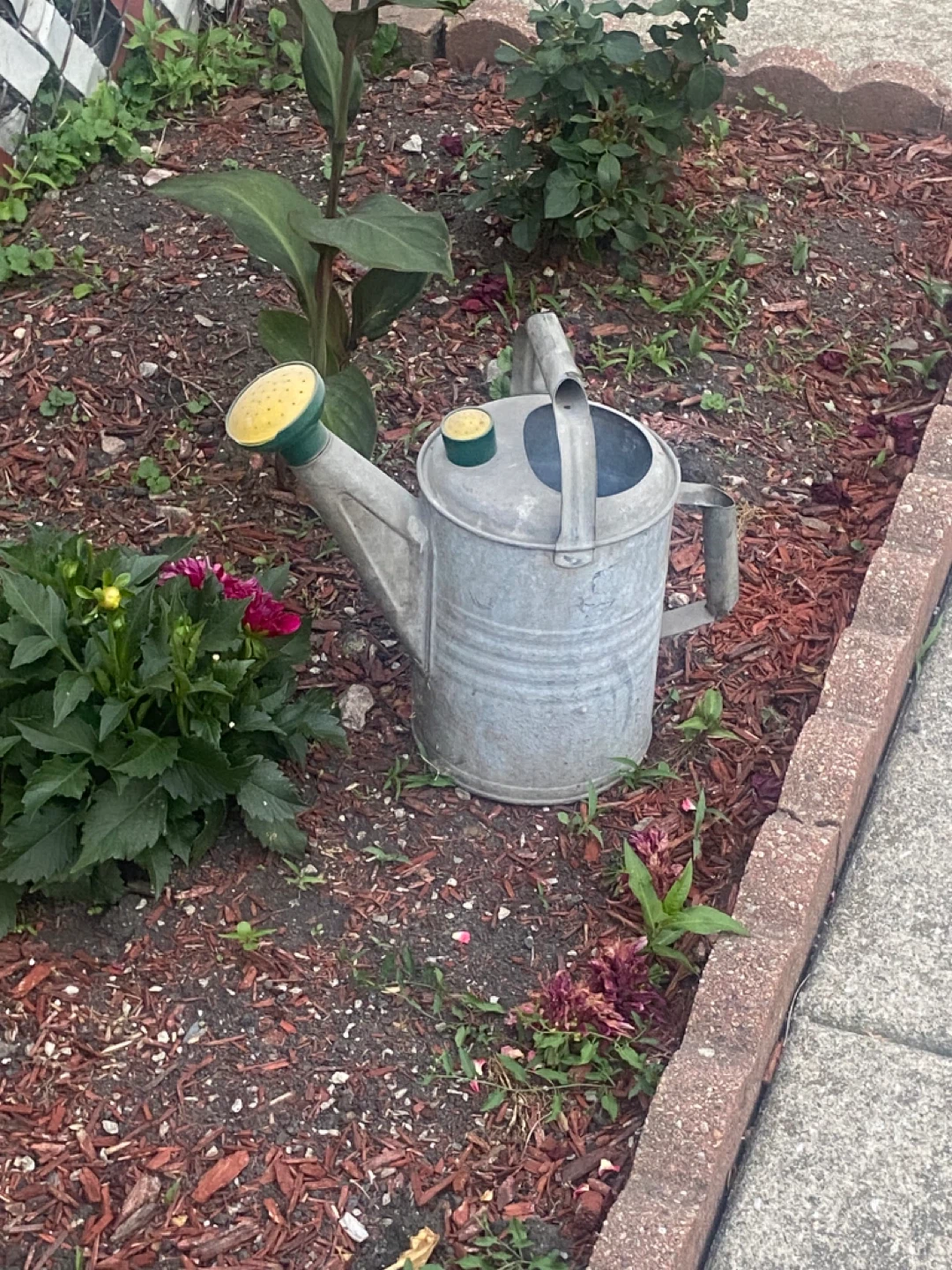 Galvanized Metal Watering Can