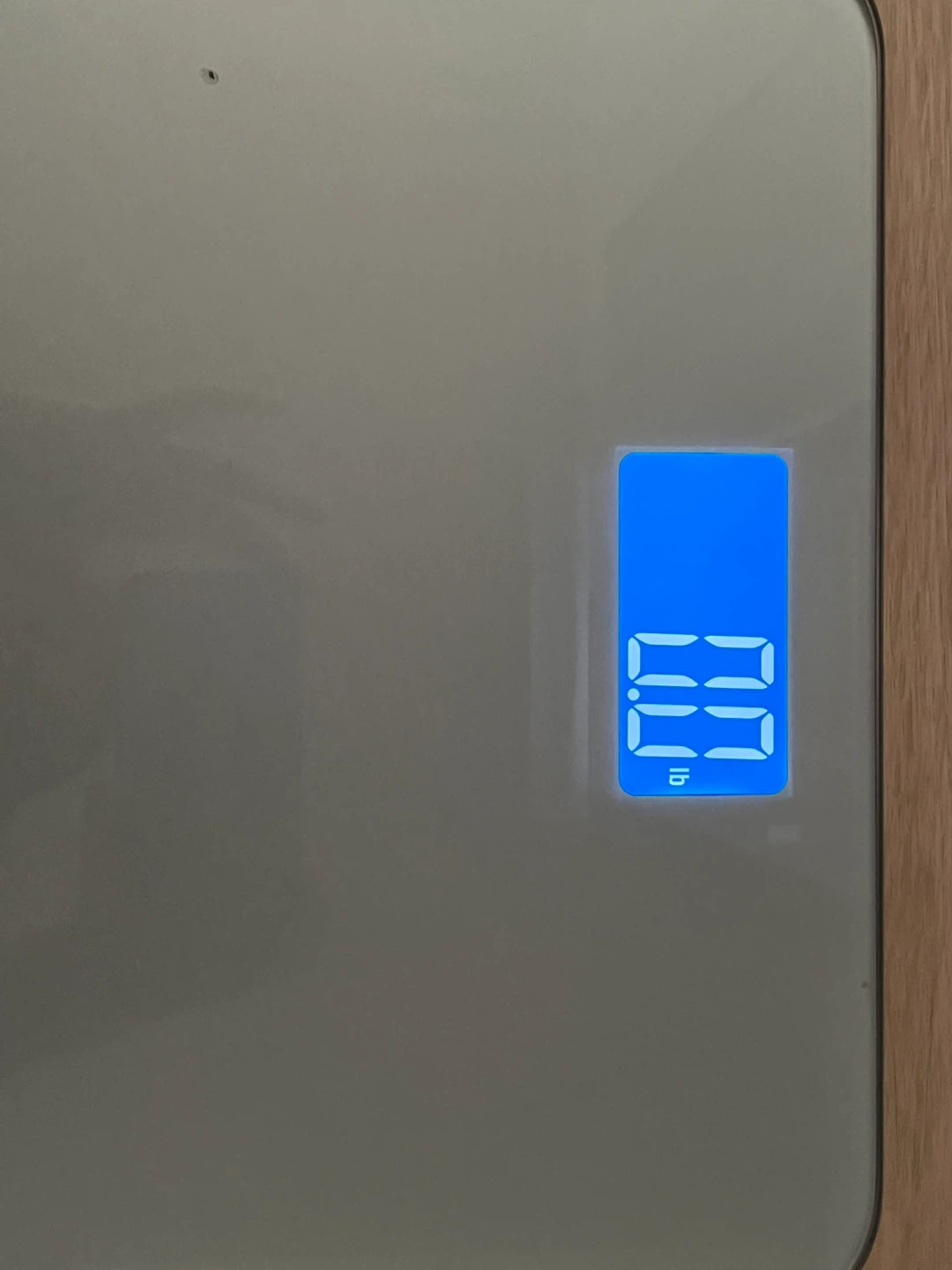 MOVING SALE - Body Weight Scale - photo 4