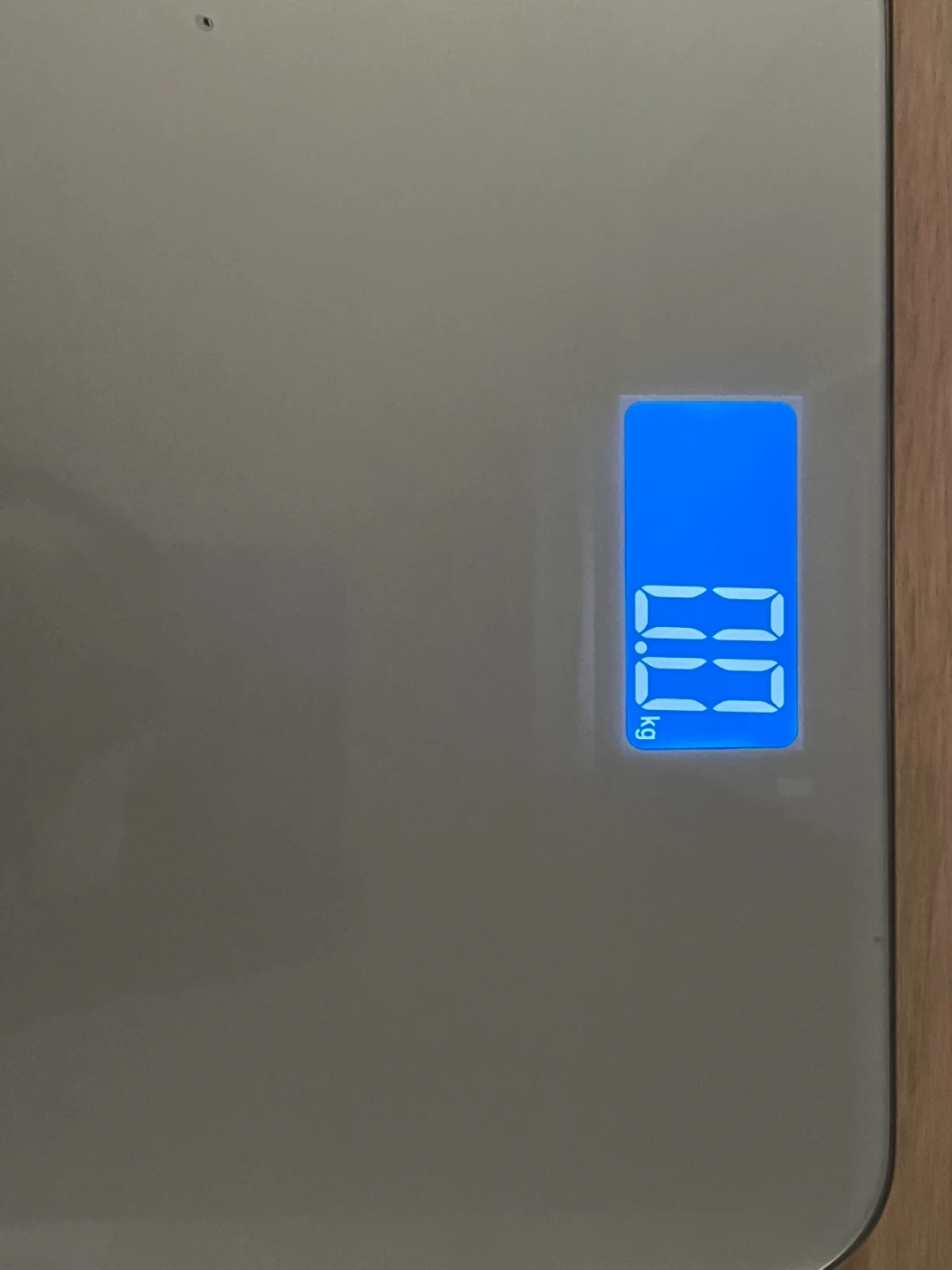 MOVING SALE - Body Weight Scale - photo 3