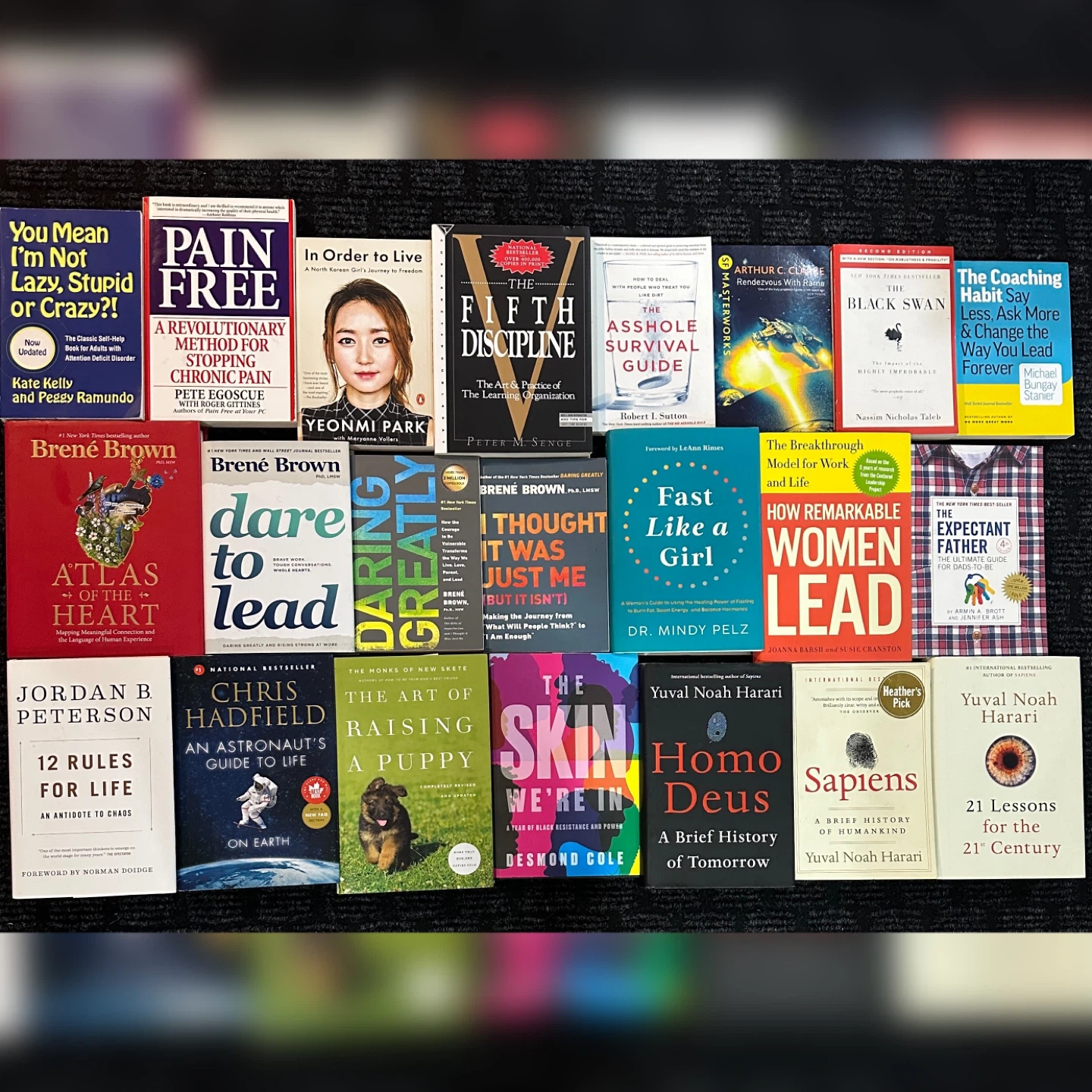 21 Lessons for the 21st Century, Sapiens, 12 rules for life,…