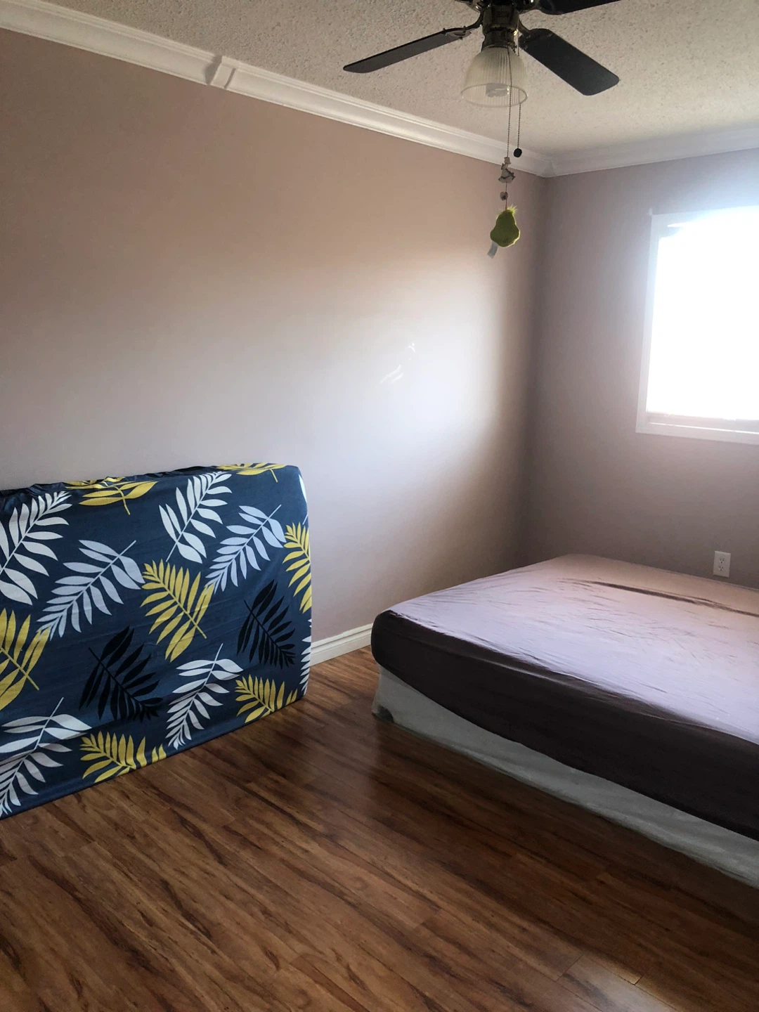 House for rent - photo 2