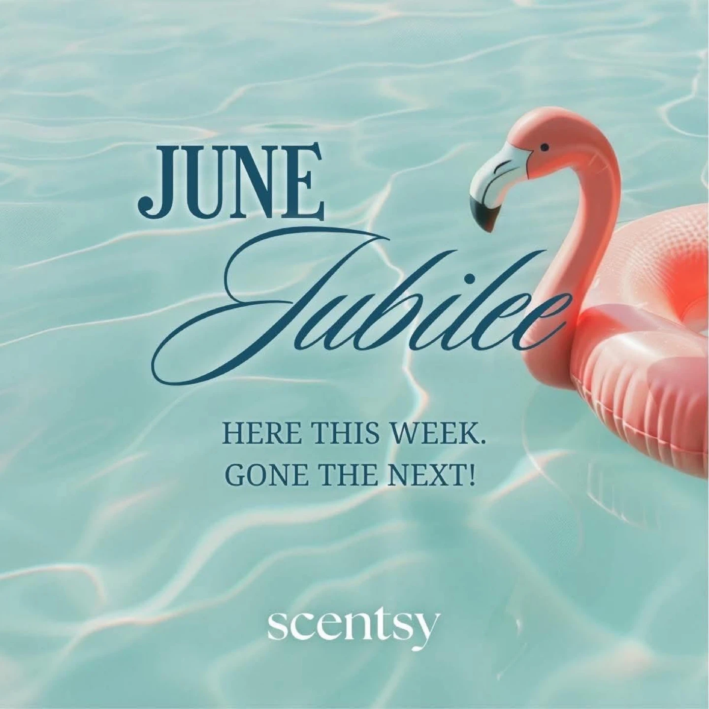 Scentsy Weekly