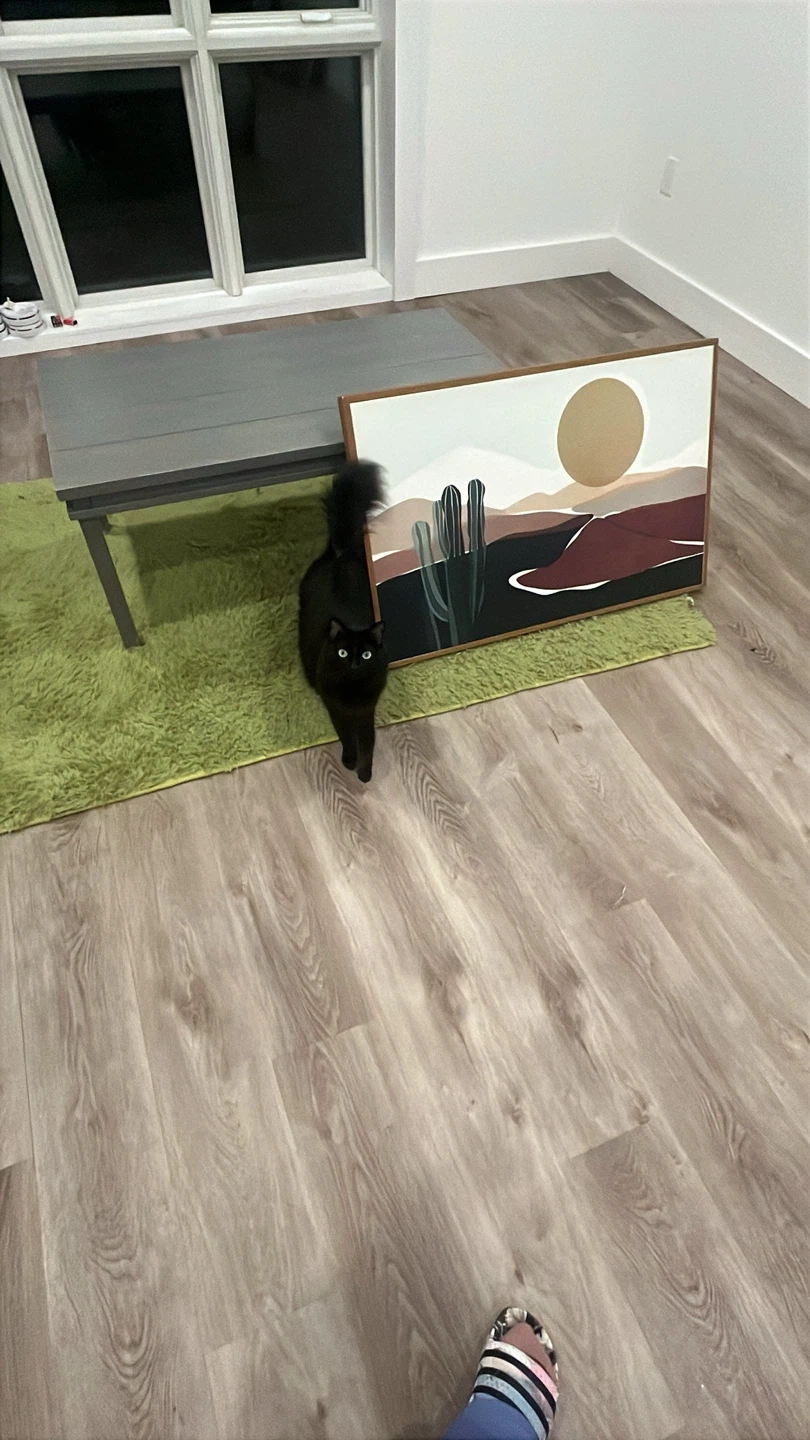 Pickup your thrifty vintage living room pieces - photo 3