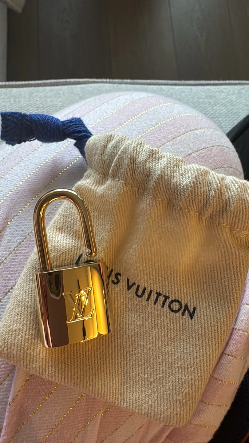Louis Vuitton Monogram Empreinte Speedy Bandoulière Bag - photo 5