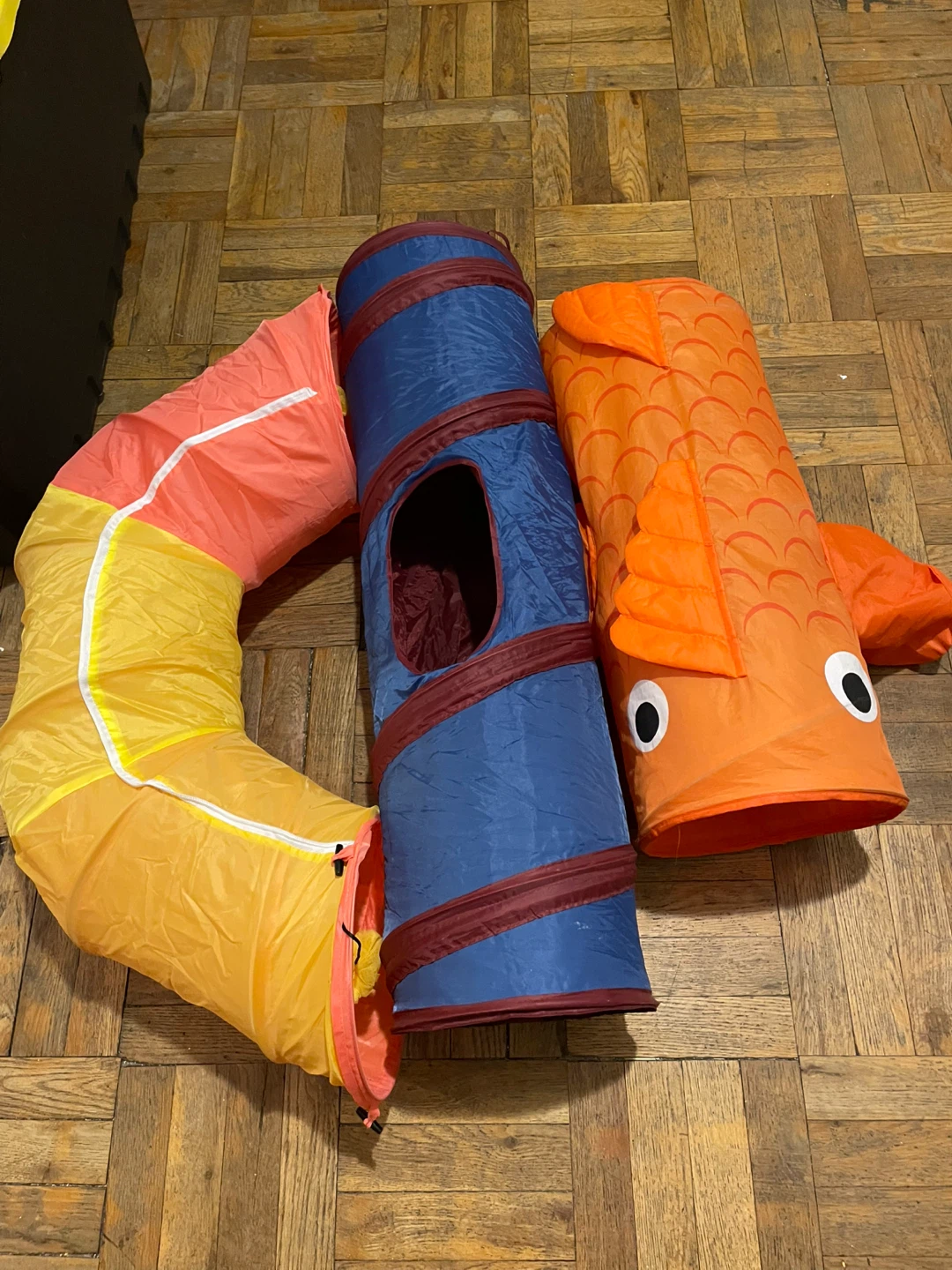 Cat Tunnels Lot
