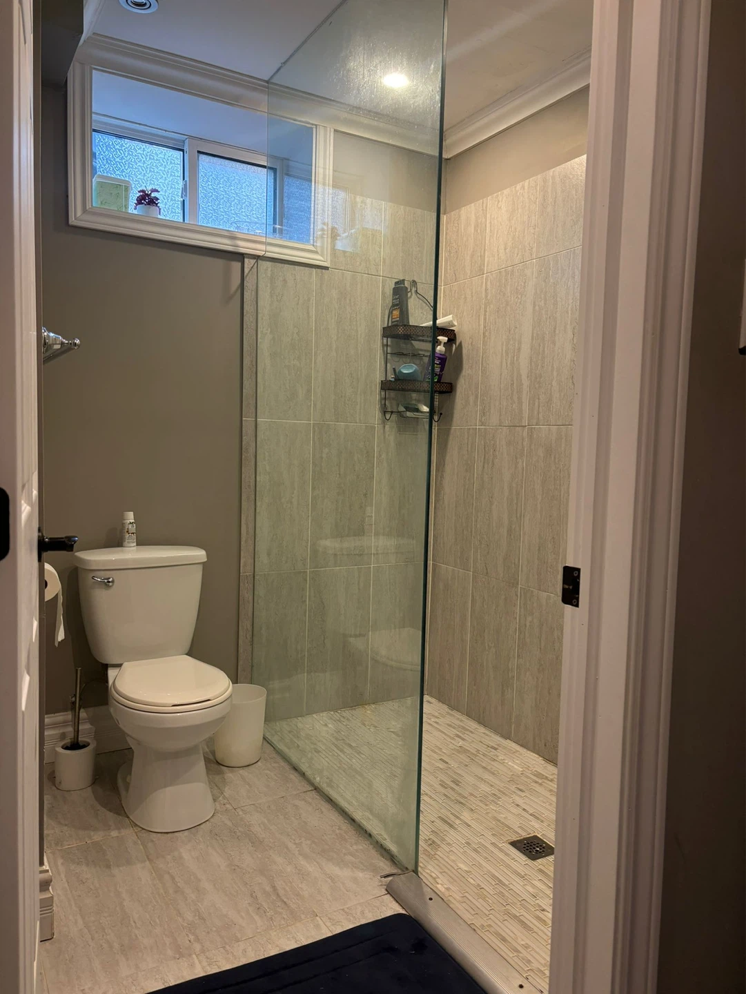 Female Tenant Wanted - photo 5