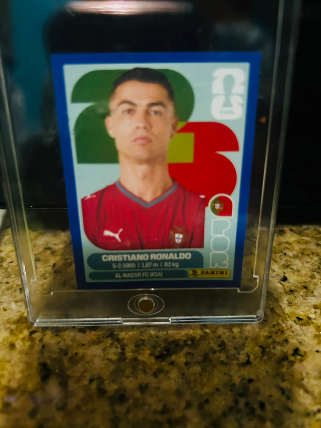 Panini Cristiano Ronaldo Trading Card