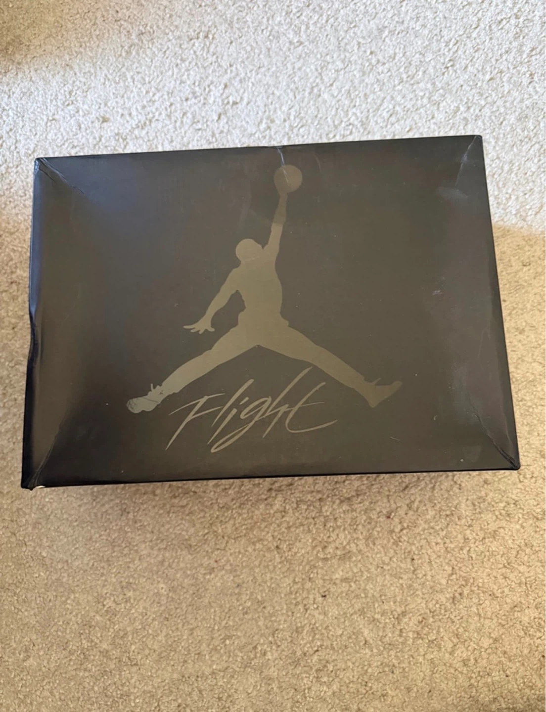Air Jordan 4 Black Cat Size 11 - photo 5