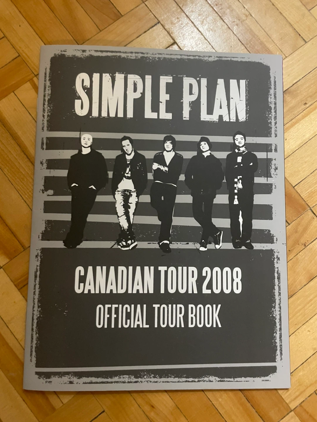 Simple Plan 2008 tour book
