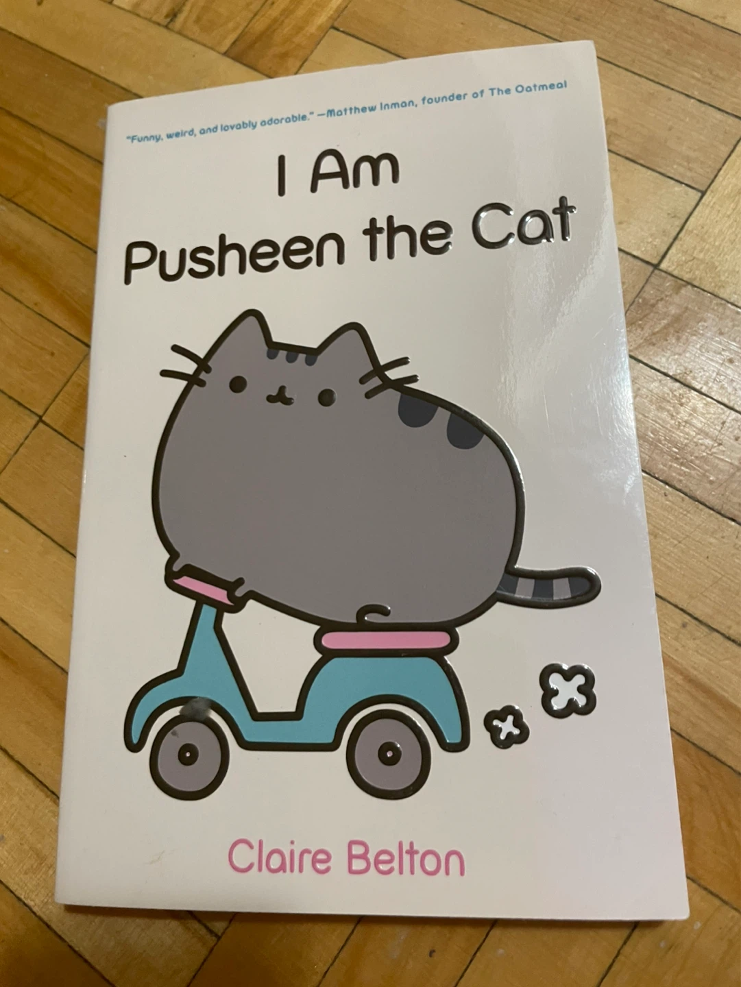 I am pusheen the cat book