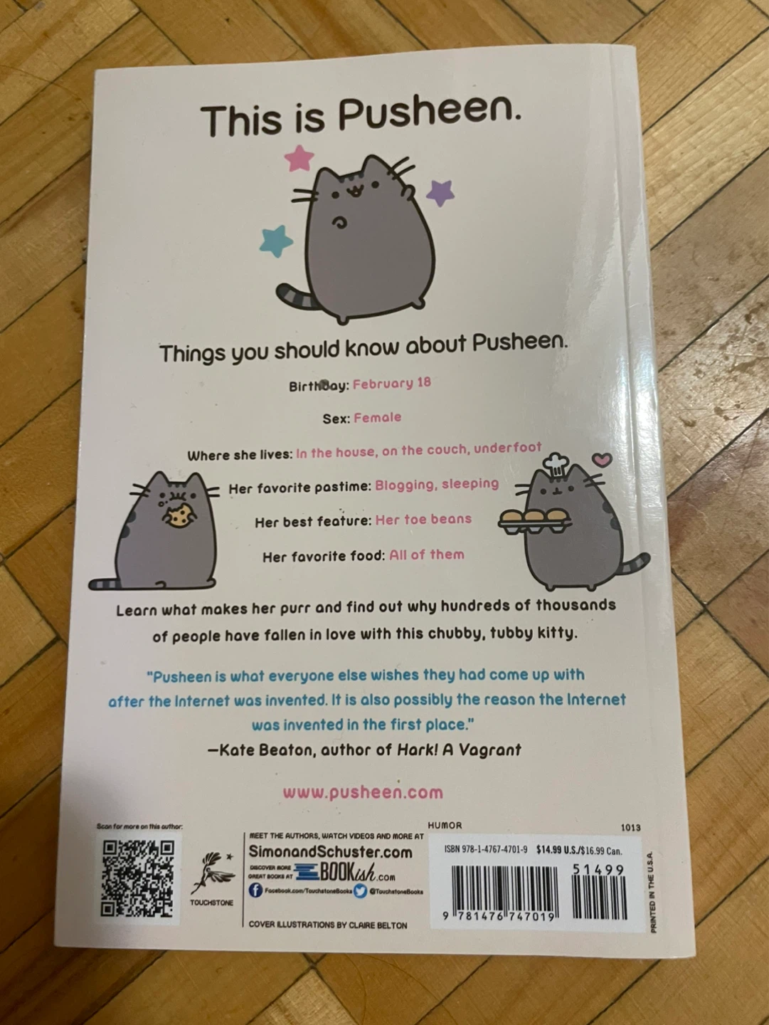 I am pusheen the cat book - photo 2