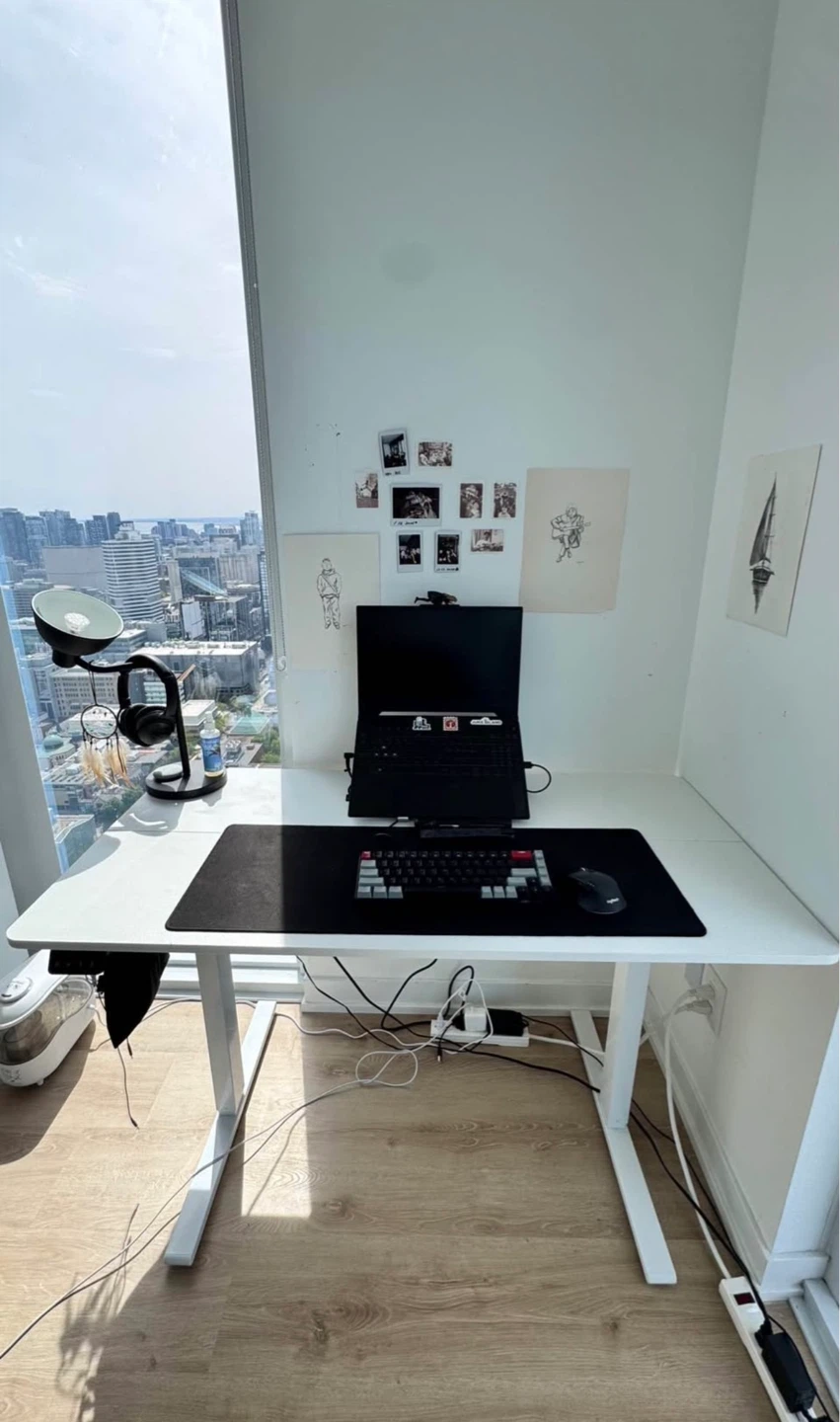 Electric Standing Desk / Height Adjustable Office Desk - photo 3