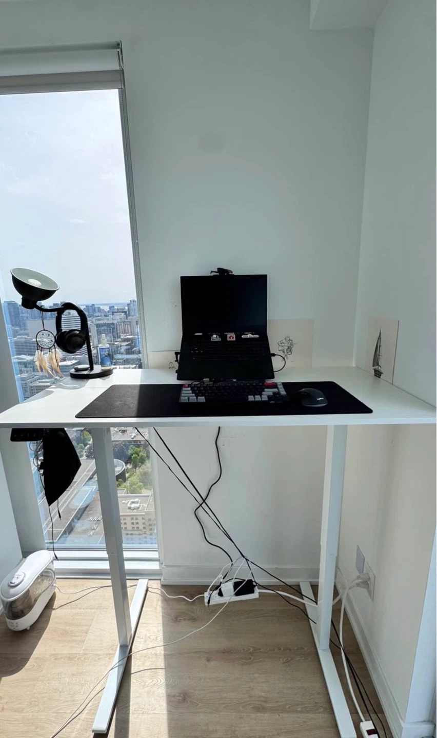 Electric Standing Desk / Height Adjustable Office Desk