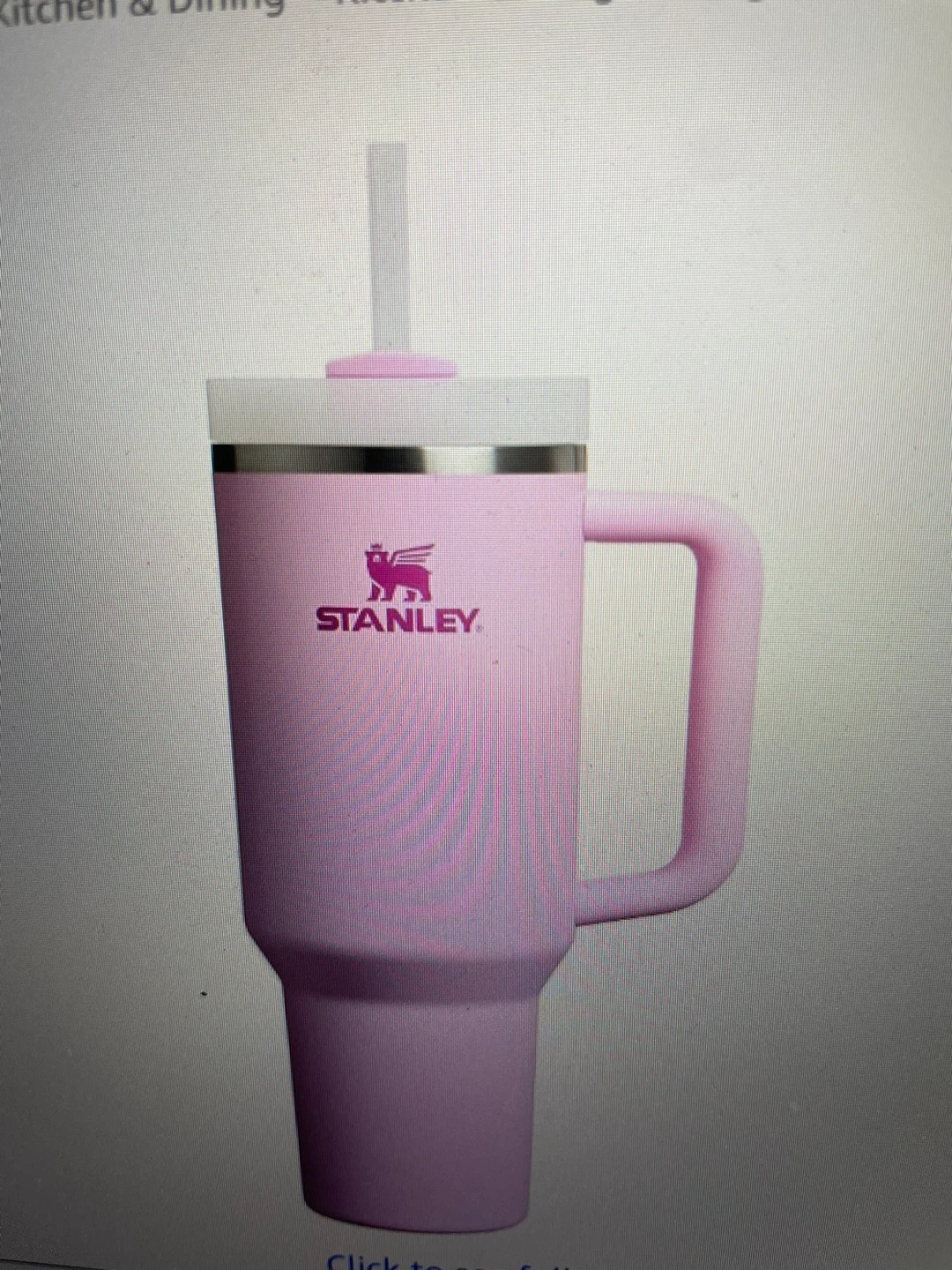 Stanley Quencher Tumbler