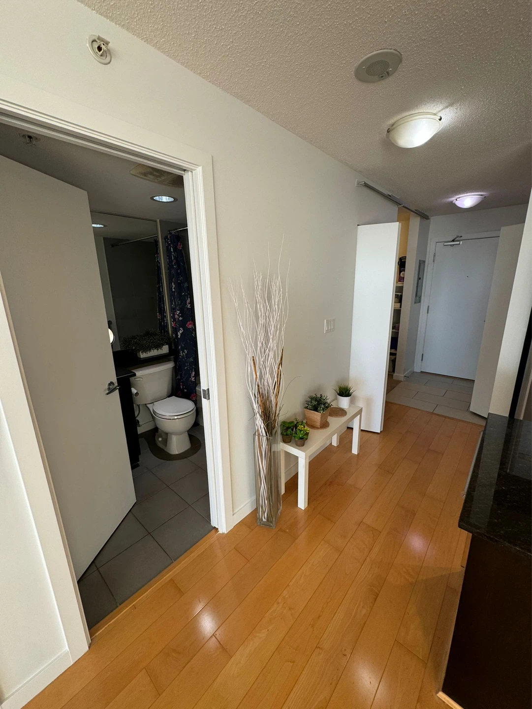 1 bed 1 bath + Den Apartment - photo 5
