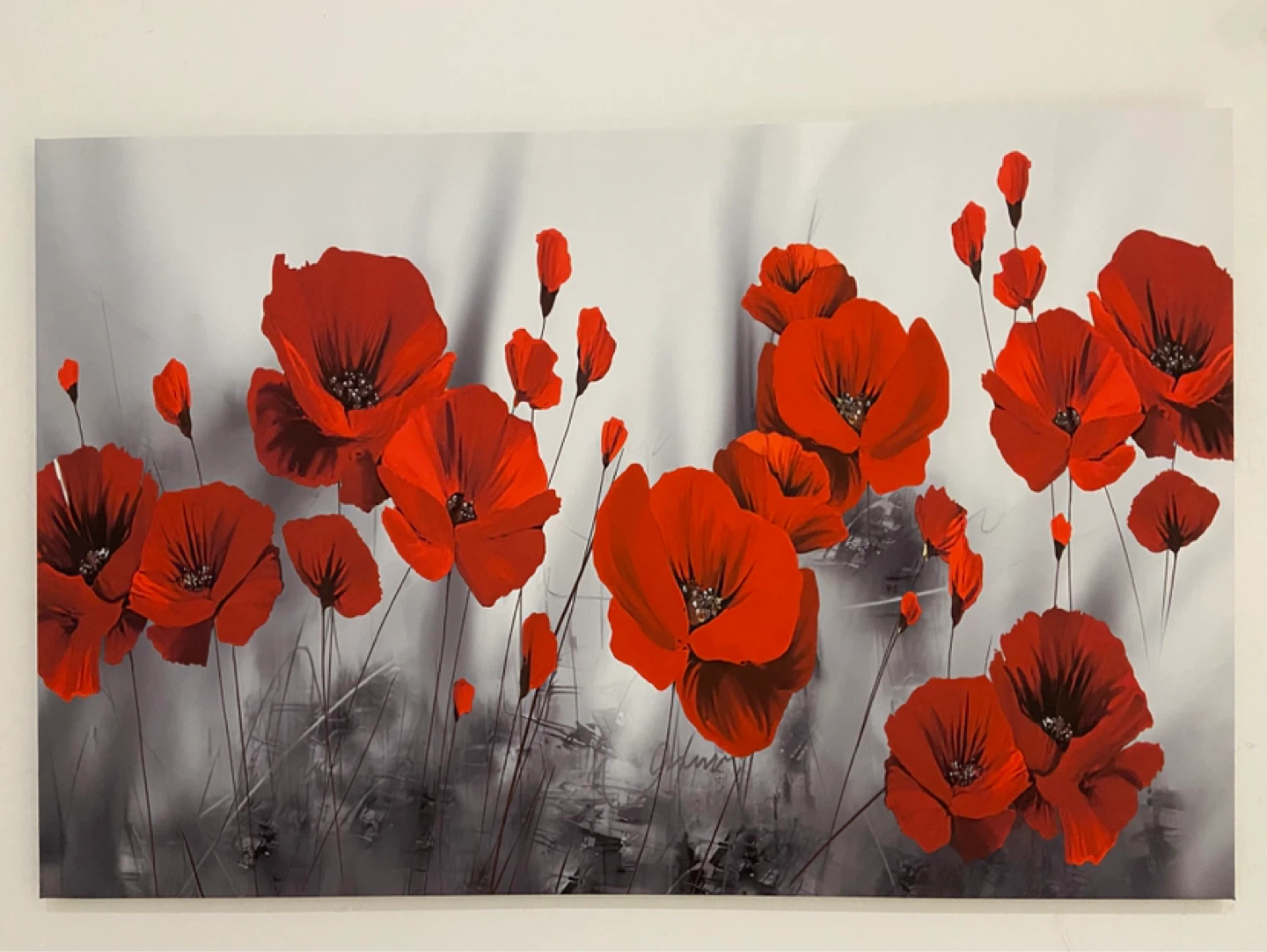 Canvas Wall Art - Feather and Poppy Designs - photo 2