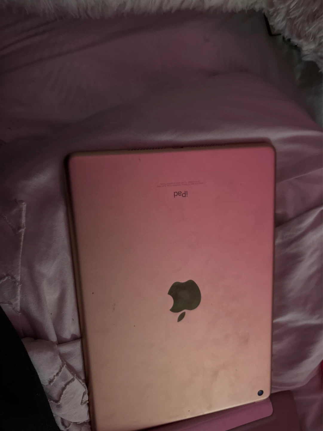 Apple iPad