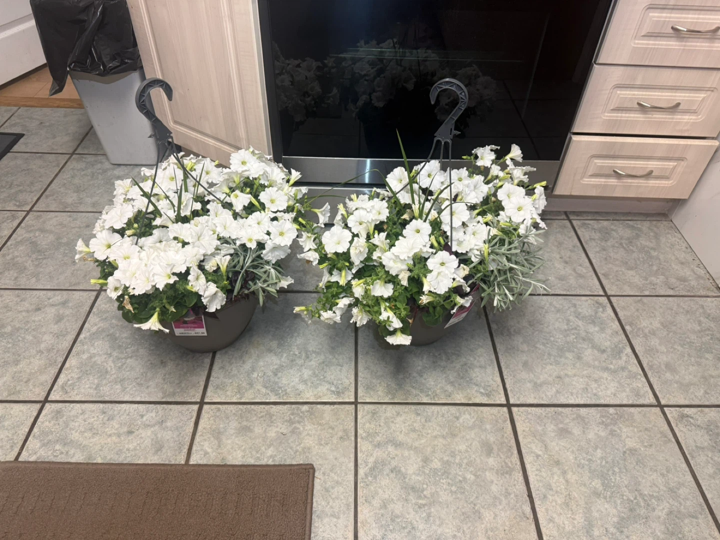 White Petunia Hanging Baskets