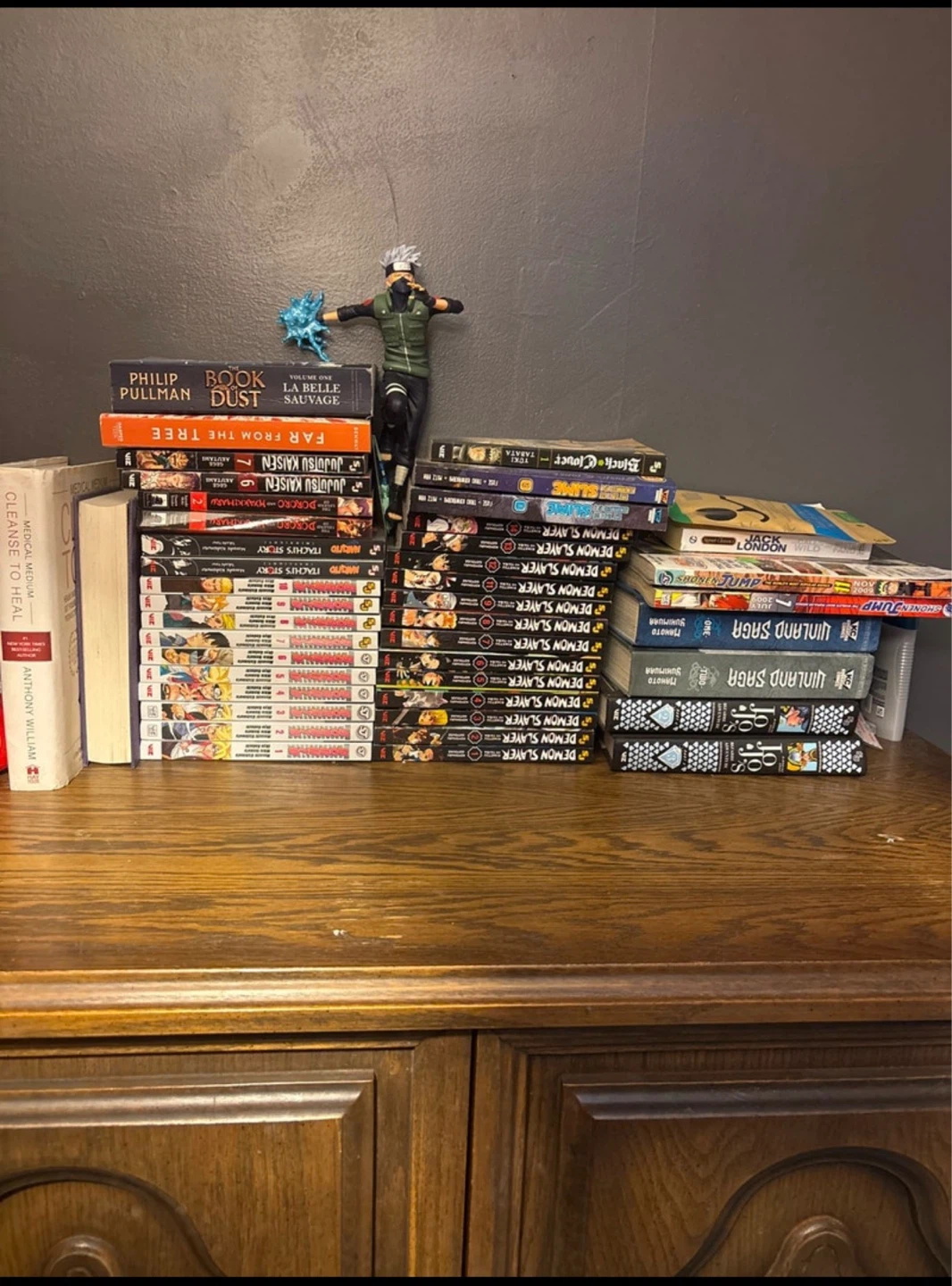 Collection of Manga and Books for 100$