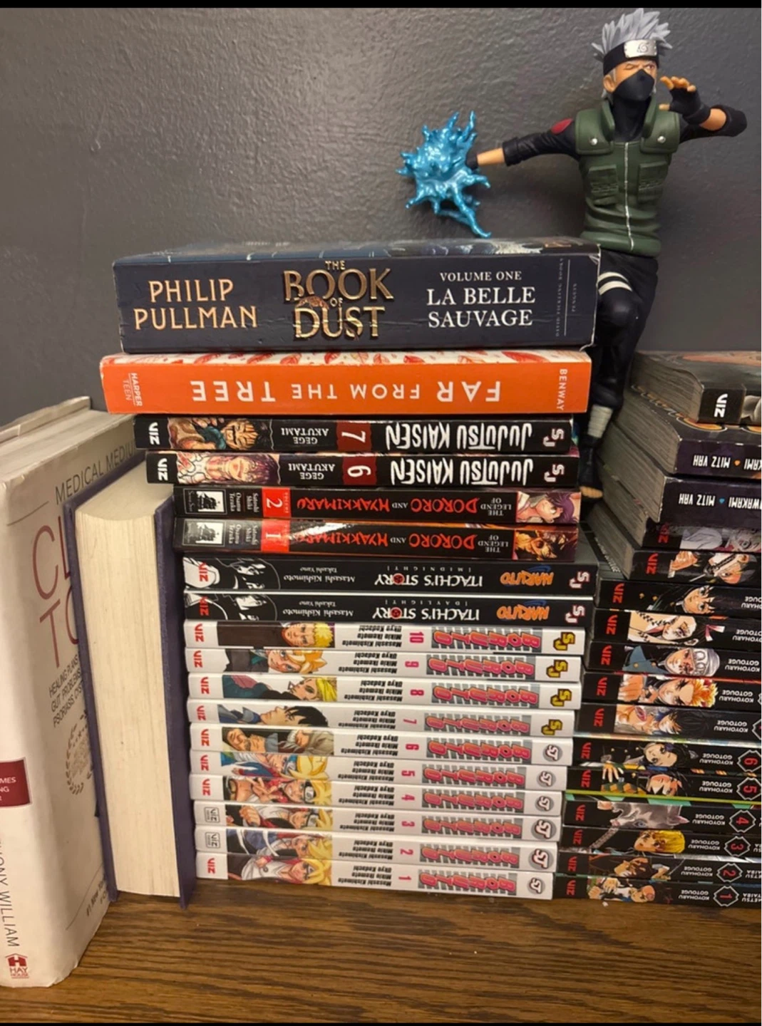 Collection of Manga and Books for 100$ - photo 2