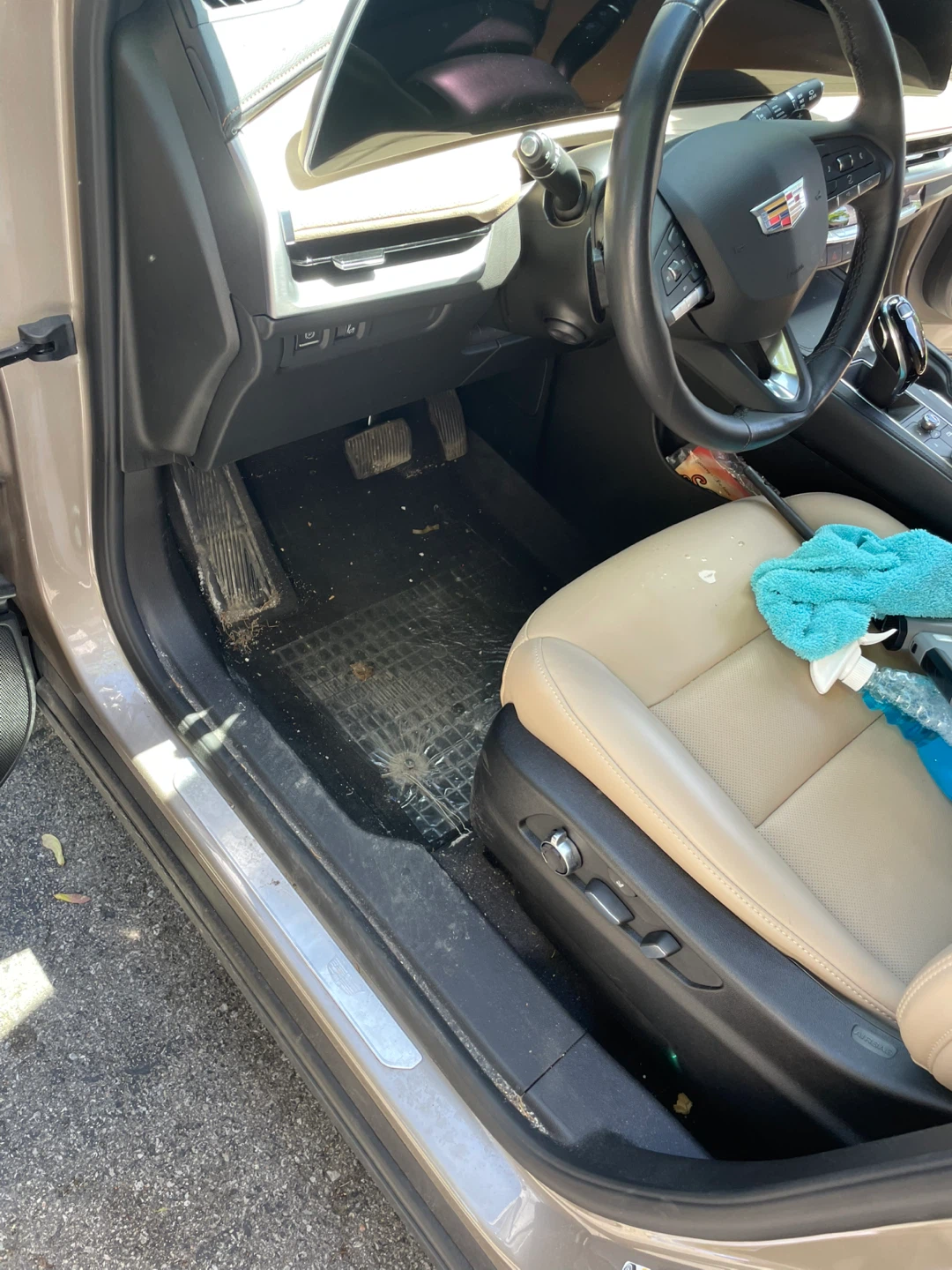 Auto detailing