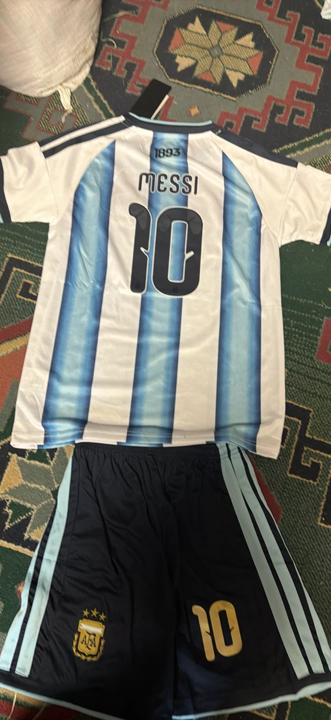 World Cup jersey - photo 4