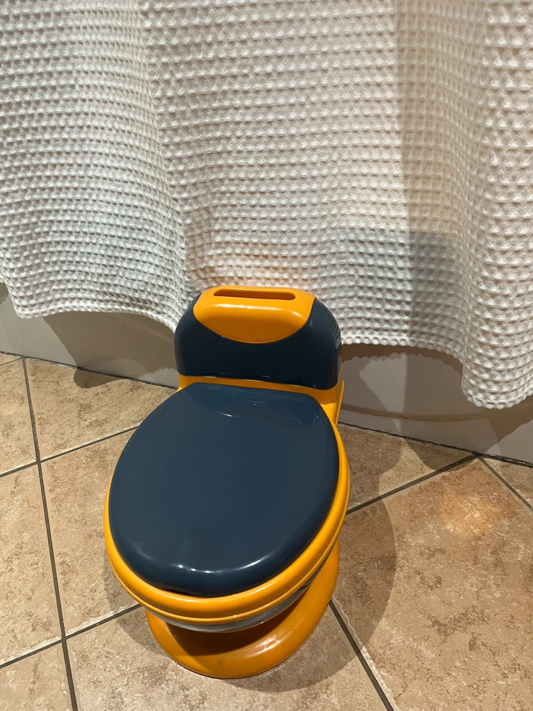Toddler Potty Training Toilet Seat