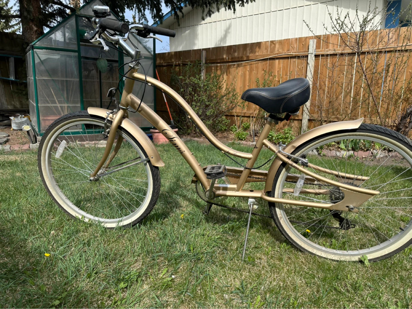 Sim's Sea Breeze 26-inch 7-speed cruiser - photo 5
