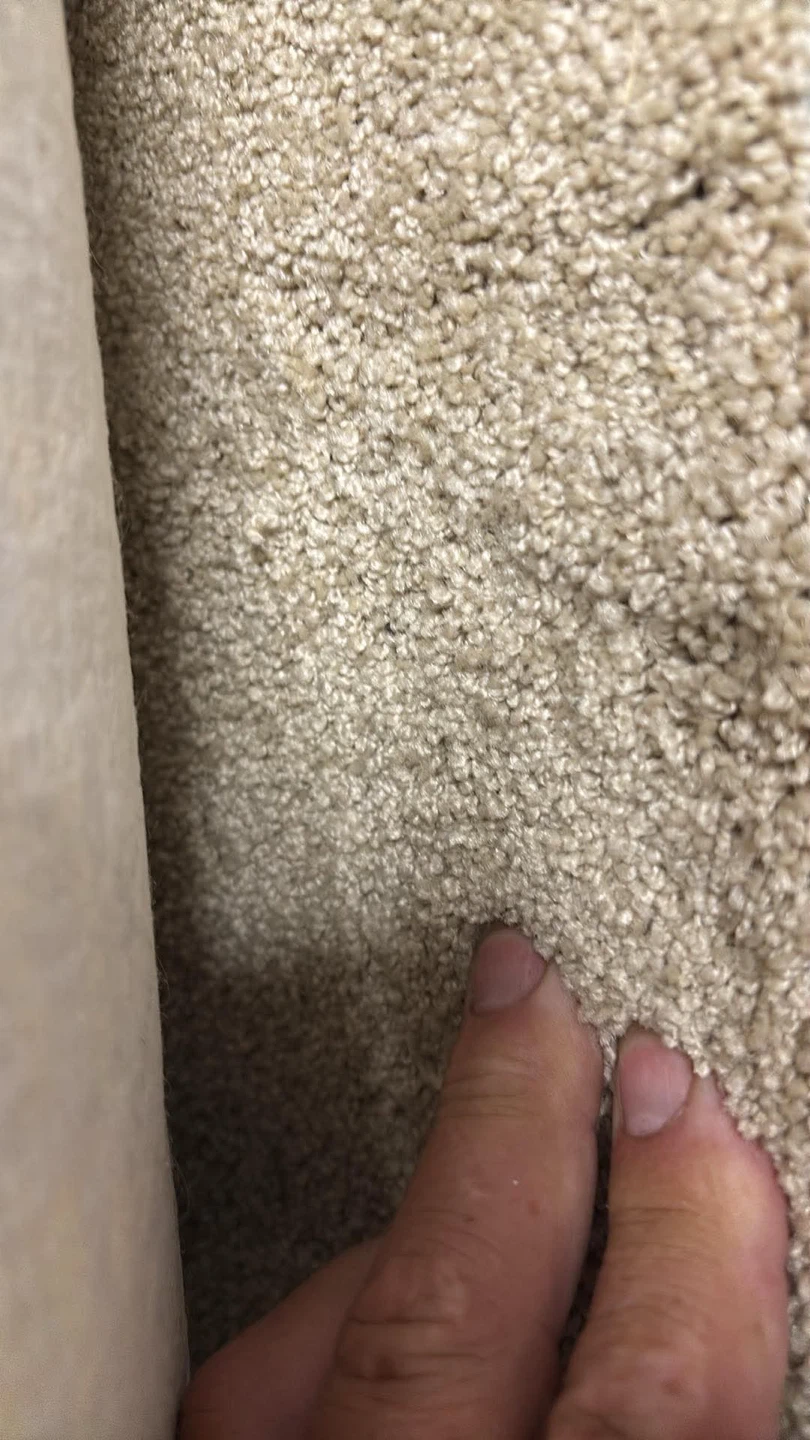 Beige Area Rug - photo 3