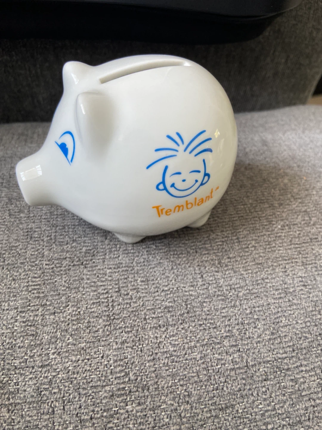 Tremblant Piggy Bank - photo 2