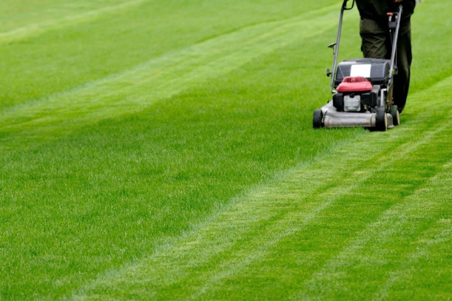 Lawn mowing