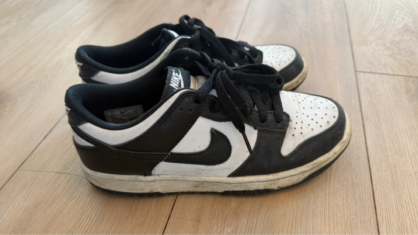 Nike Dunk Low Youth Sneakers