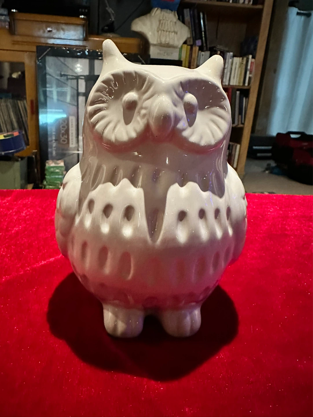 Owl light case