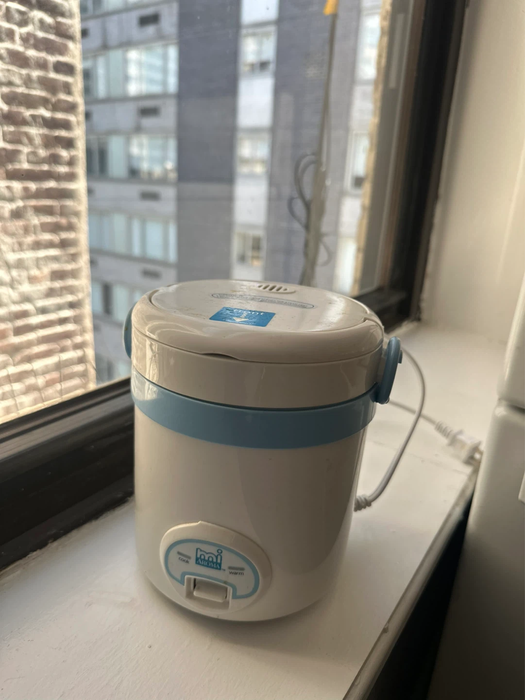 Mini Rice Cooker