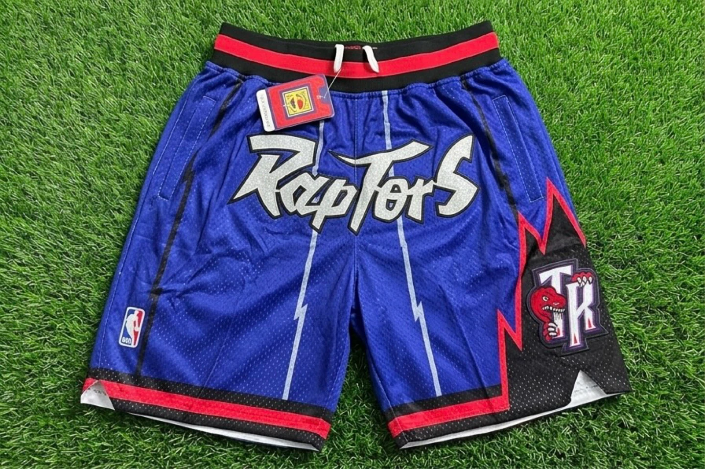 Toronto Raptors Basketball Shorts