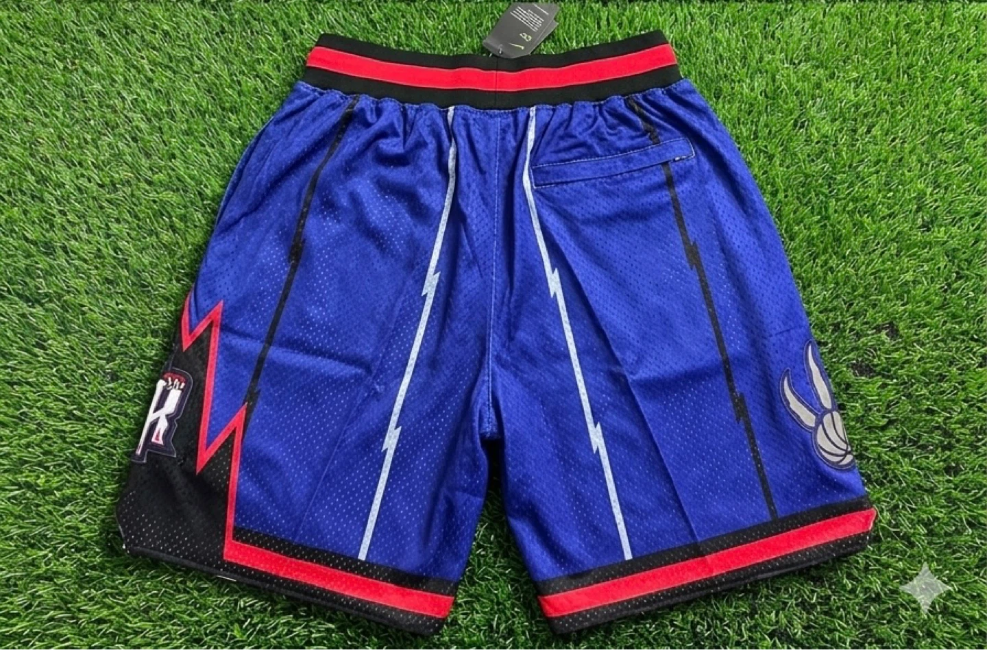 Toronto Raptors Basketball Shorts - photo 2