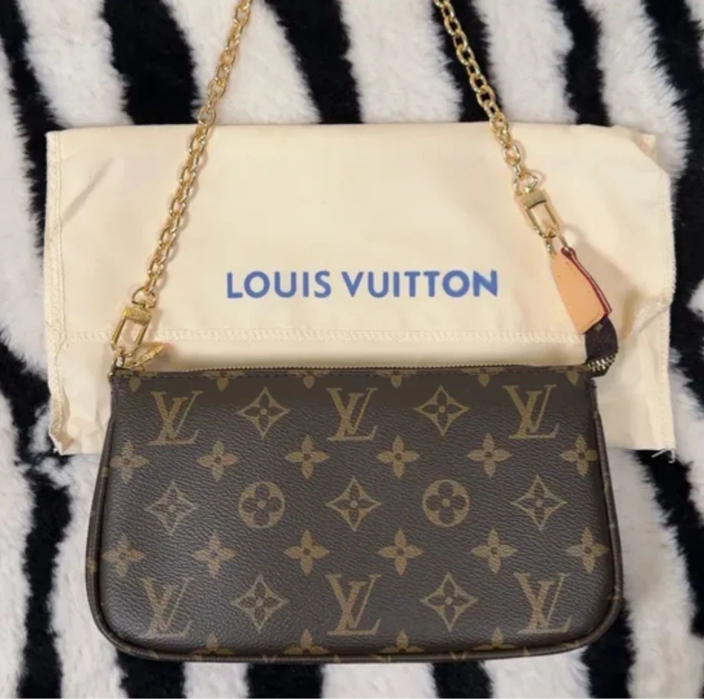 Louis Vuitton Monogram Pouch