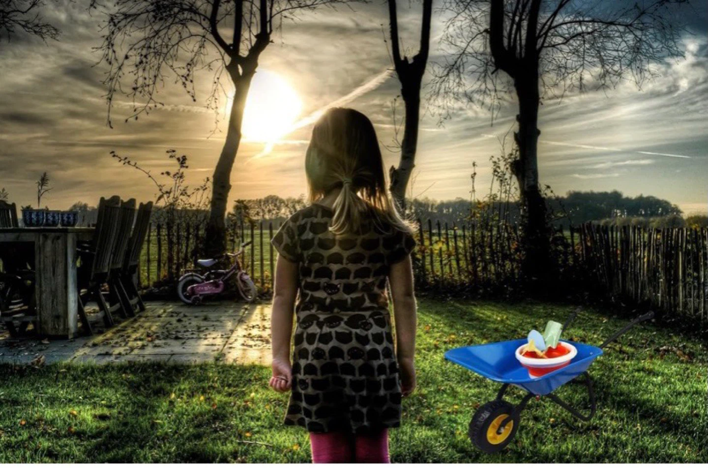 Blue Children's Toy Wheelbarrow - photo 4